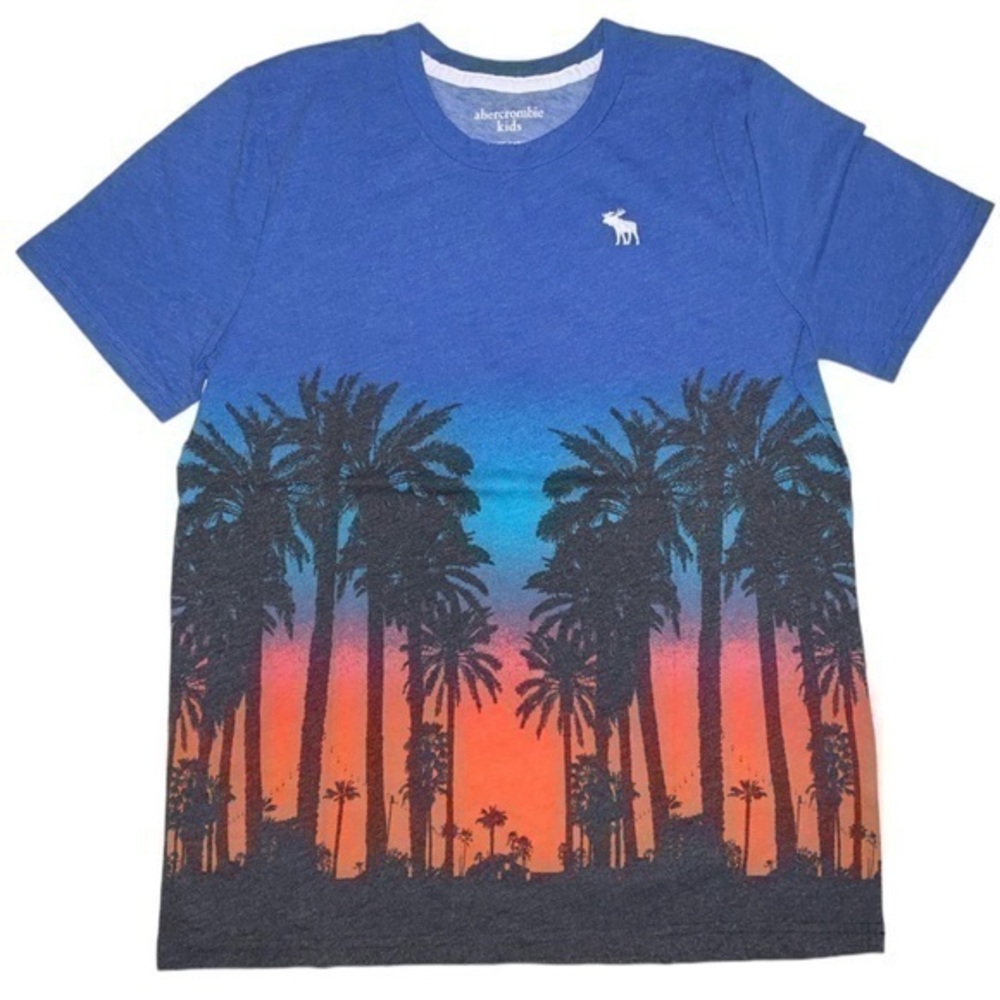 Abercrombie Kids Ombre Tropical t-shirt 15/16